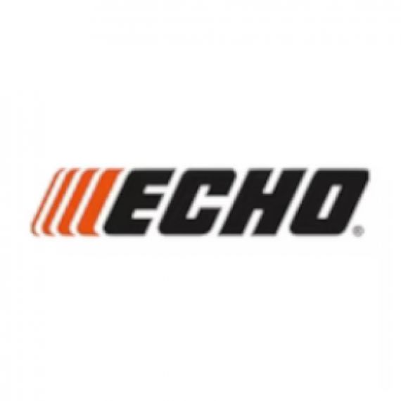 Echo Japan